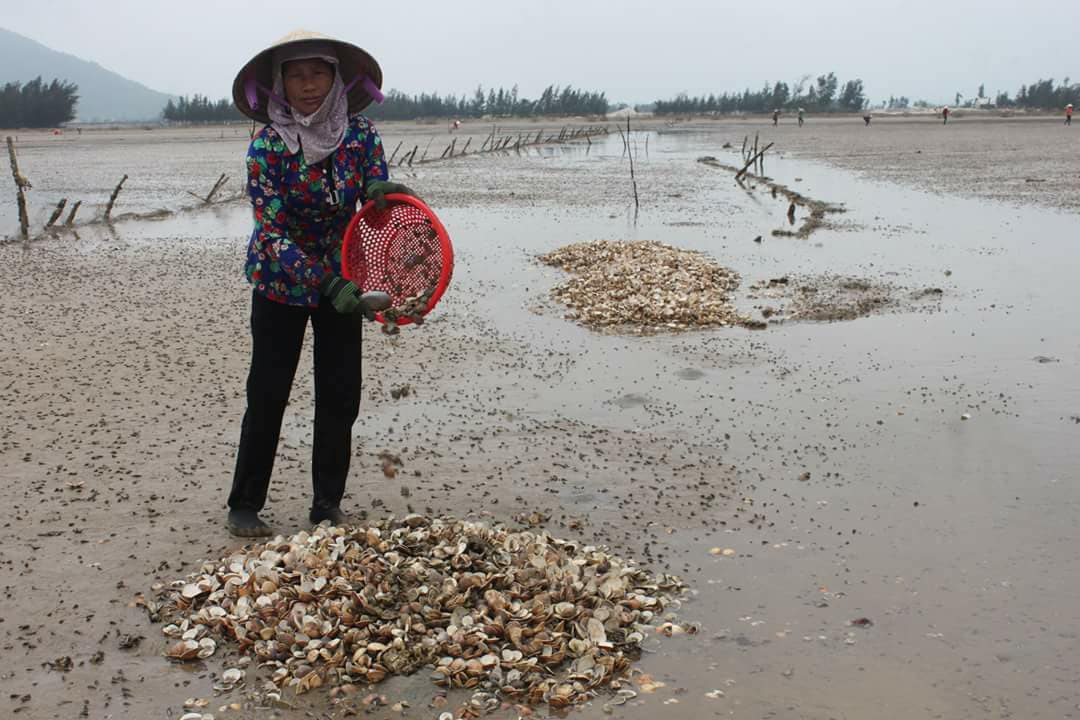 Hà[-]Tĩnh:[-]Dân[-]cay[-]đắng[-]ngồi[-]nhìn[-]nghêu[-]chết[-]trắng[-]bãi